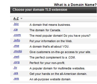 What's a Top Level Domain